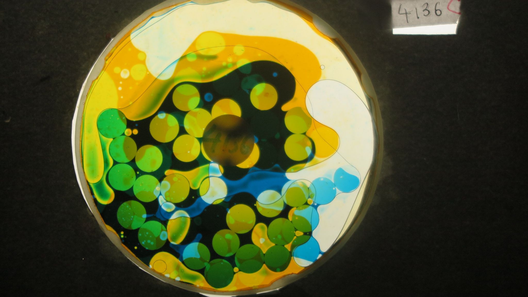 BV4136 bubble vision oil wheel